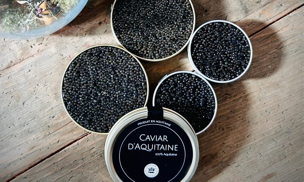 Caviar d'Aquitaine