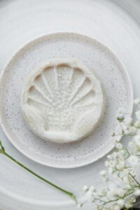 Brie de Melun