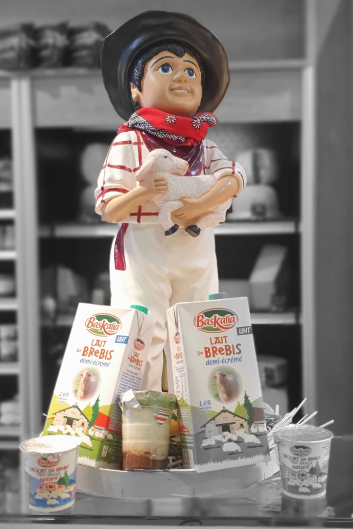 Lait de brebis