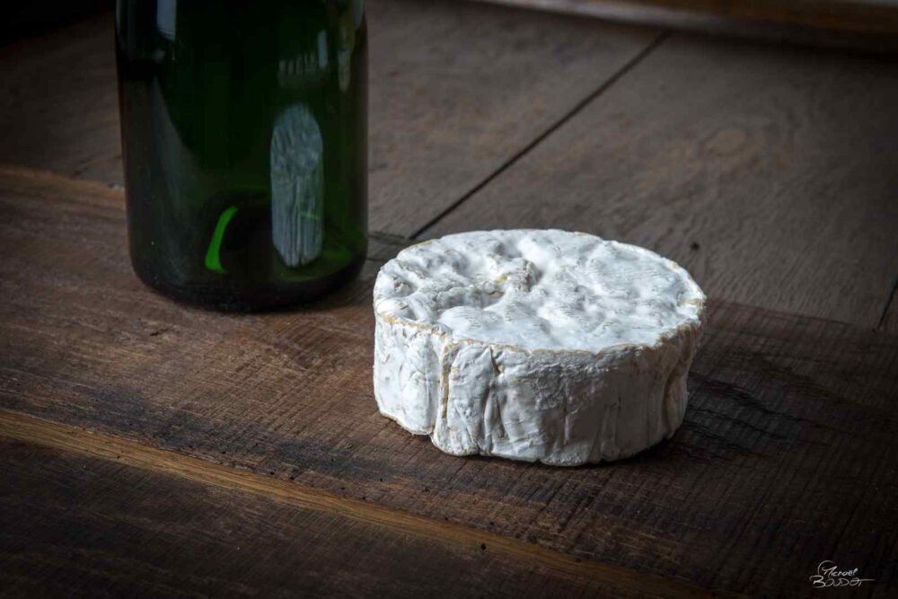 Camembert