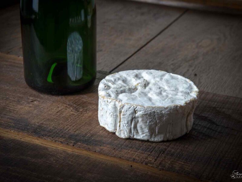 Camembert