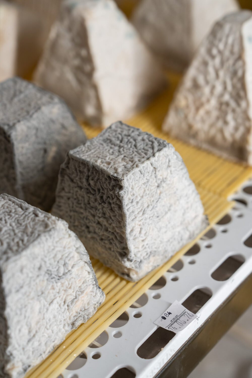 Pyramide de chèvre cendrée