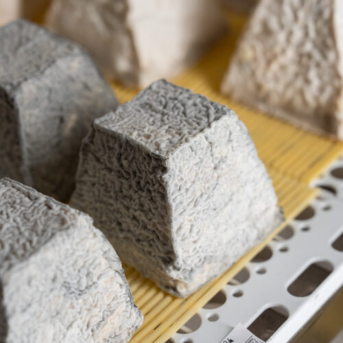 Pyramide de chèvre cendrée