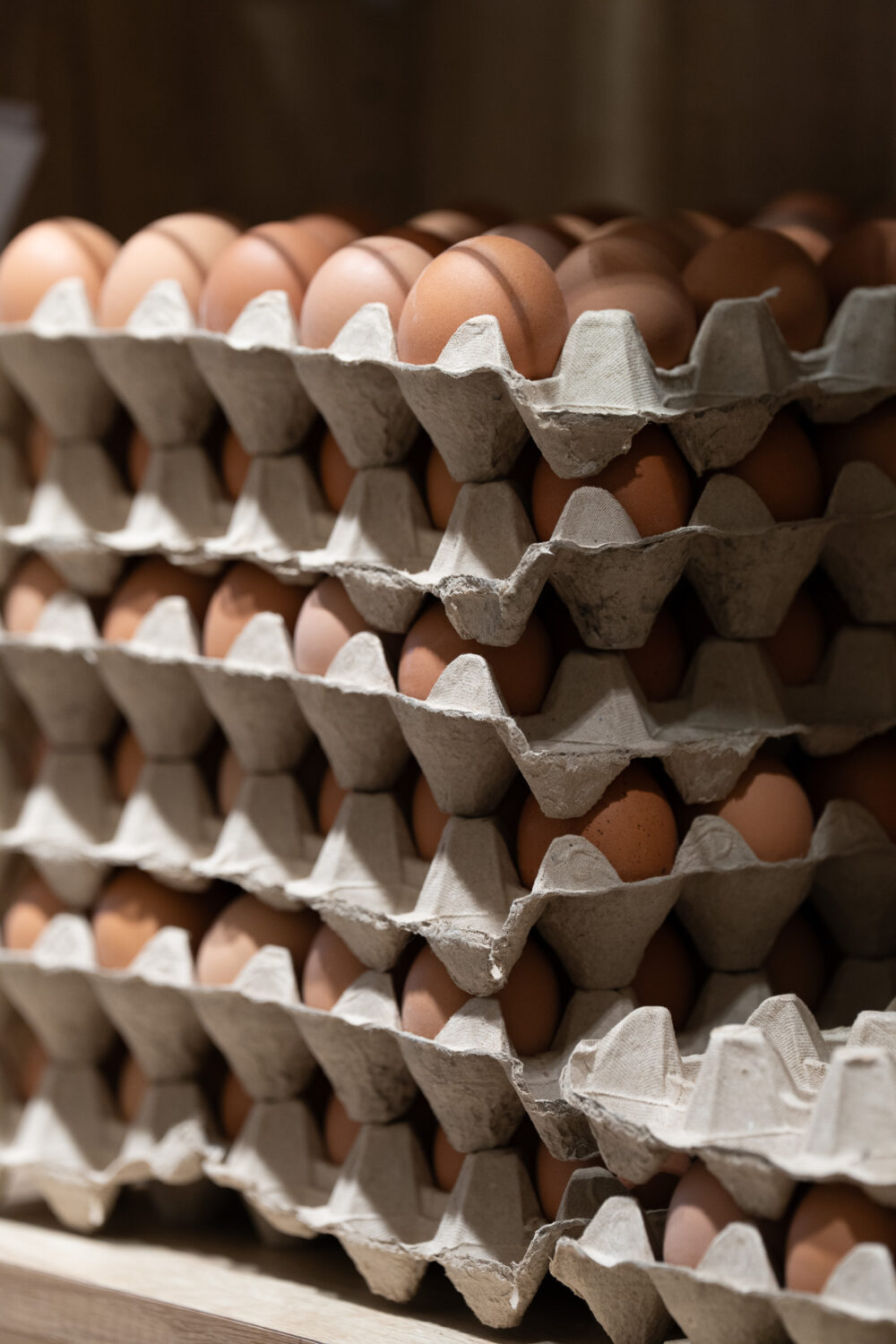 Oeufs frais