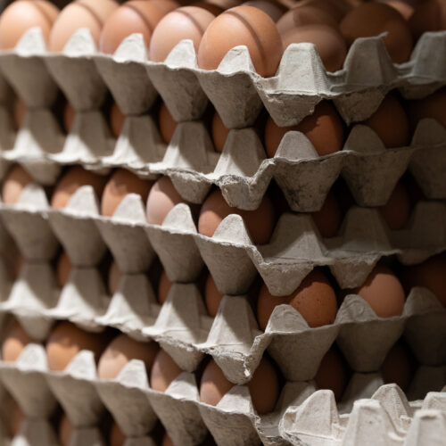 Oeufs frais